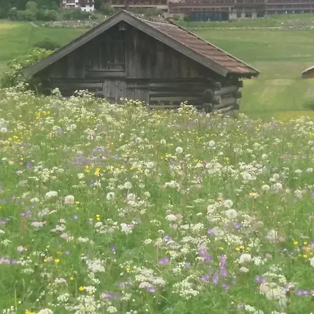 Lejlighed Tyrol Ehrwald