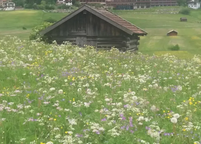 Appartement Tyrol Ehrwald